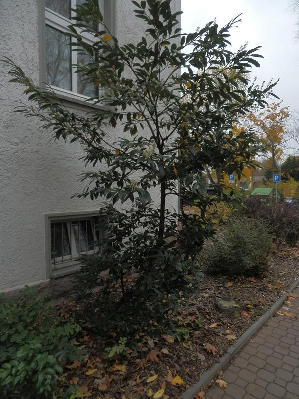 Bilder_25.10.12 014.jpg