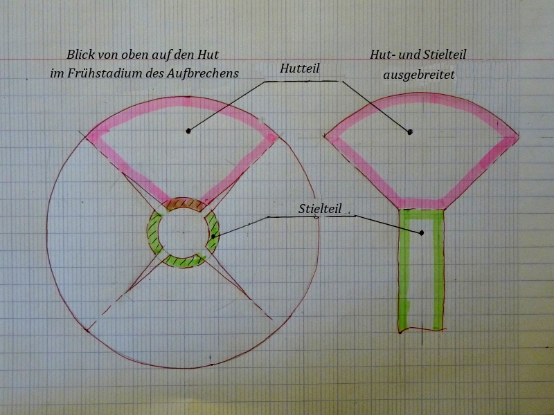 P1070221 Fuchur Skizze .JPG