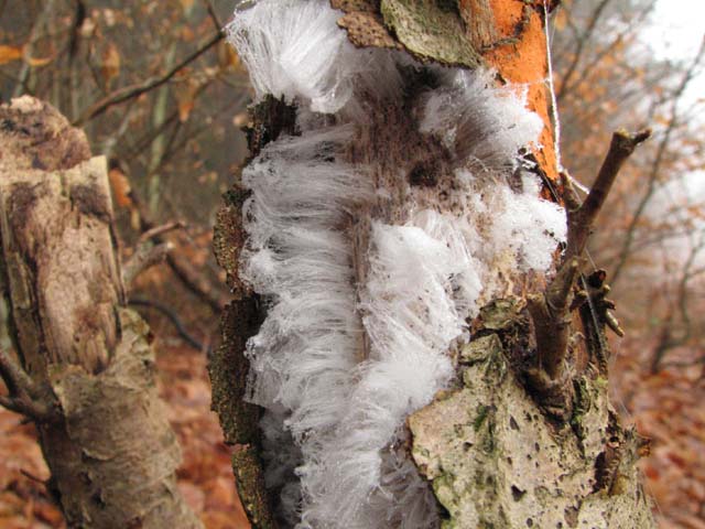 2008122501.jpg