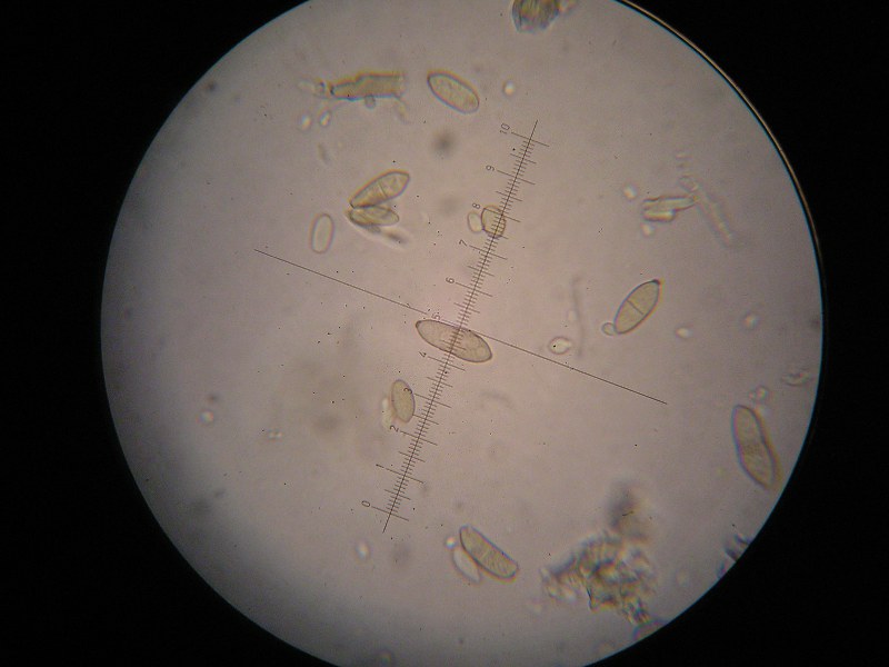 1000er Kronach (13).JPG