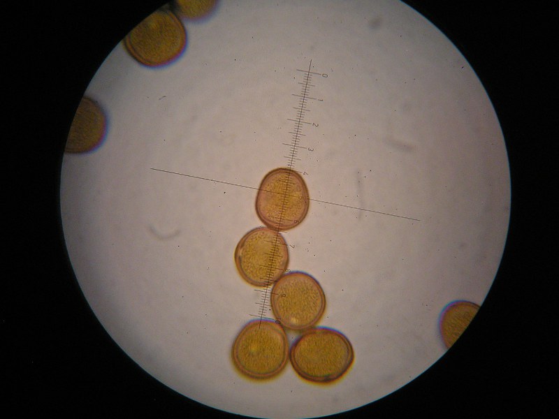 1000er Altenplos (19).JPG