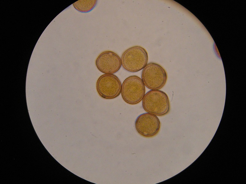 1000er Altenplos (23).JPG