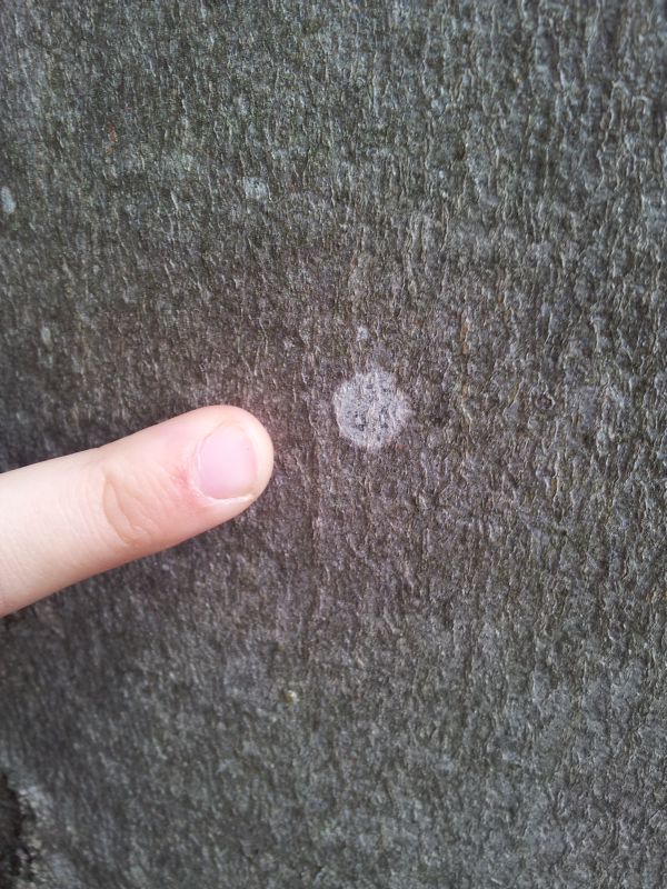 2012-06-02 11.26.16.jpg