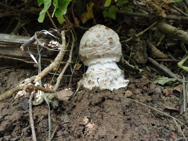 DSC04016 (640x480).jpg