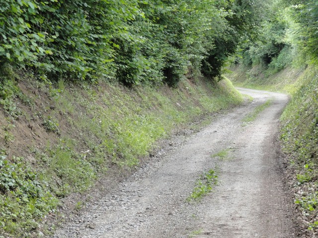 DSC04027 (640x480).jpg