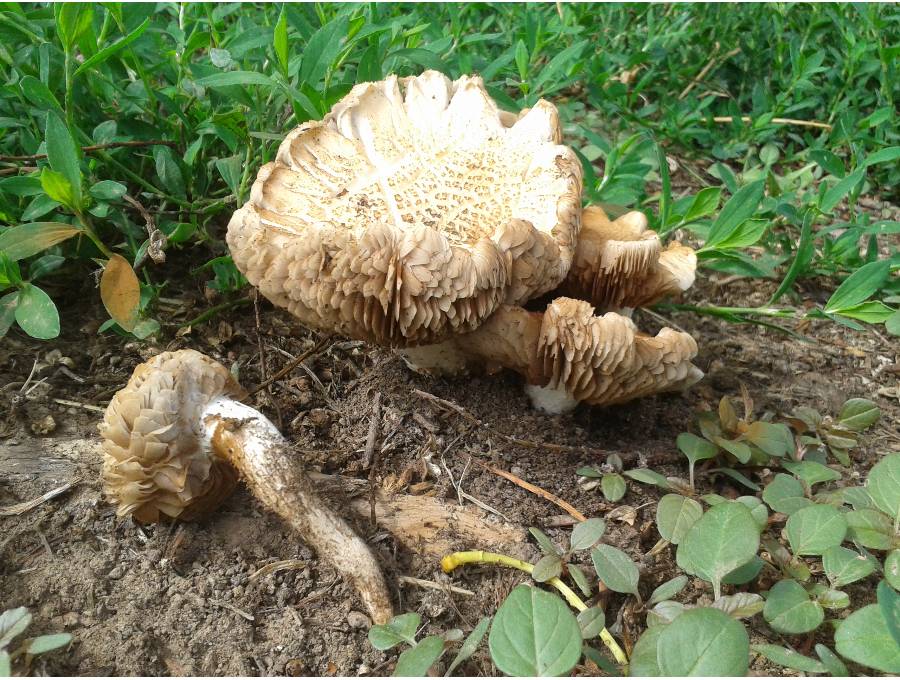 2012-06-21 16.25.36_thumb.jpg