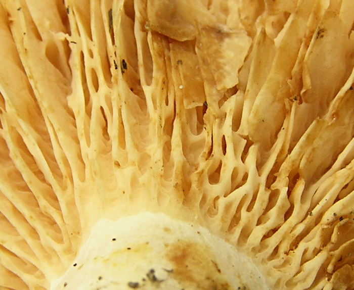 P1010077 - Kopie.JPG