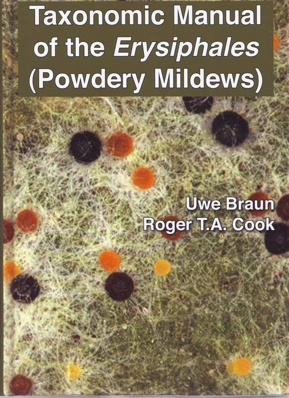 Erysiphales neuester Stand.jpg
