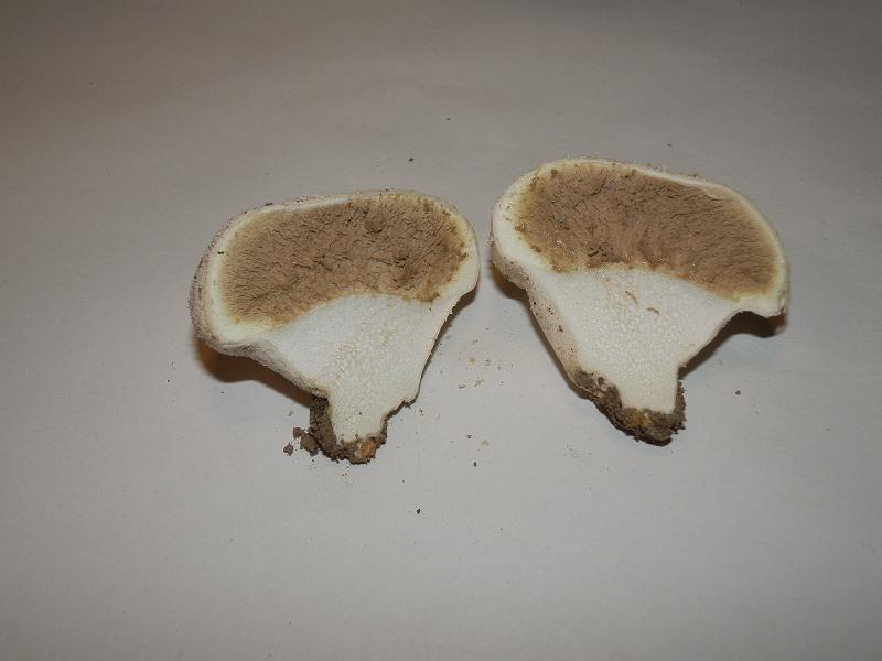 Bilder_10.07.12 016.jpg