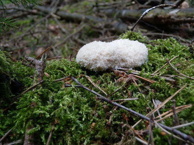 Bilder_11.07.12 019.jpg