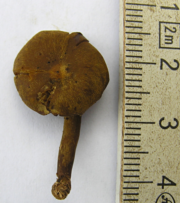 P1010092 - Kopie.JPG