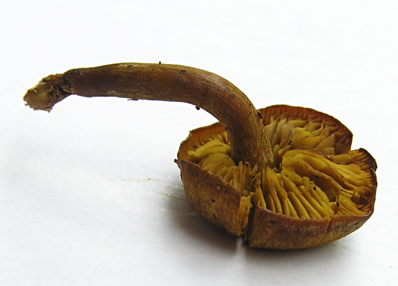 P1010097 - Kopie.JPG