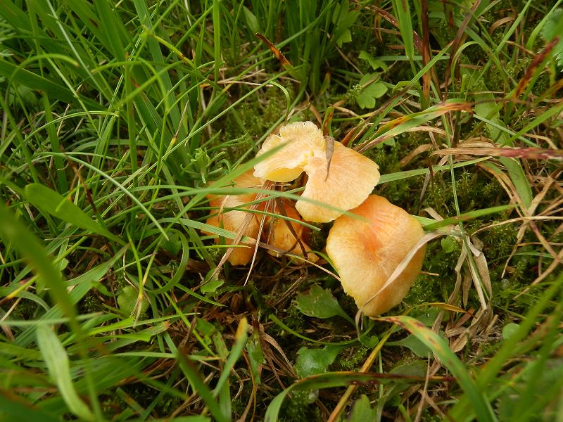 Bilder_20.07.12 017.jpg