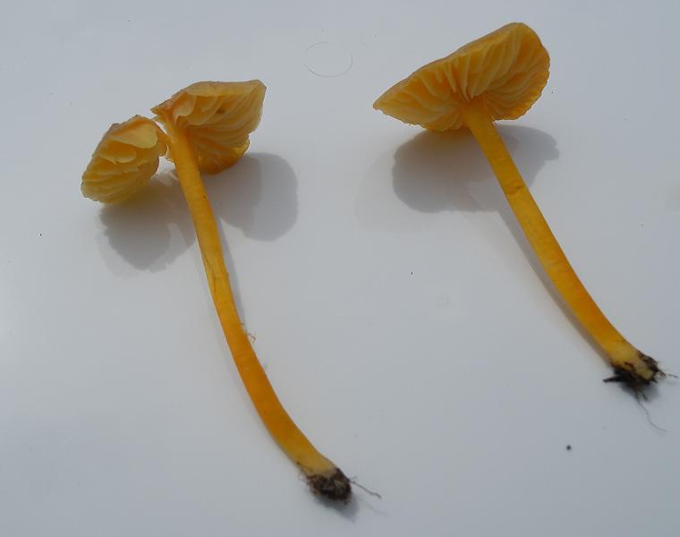 Bilder_20.07.12 019.jpg