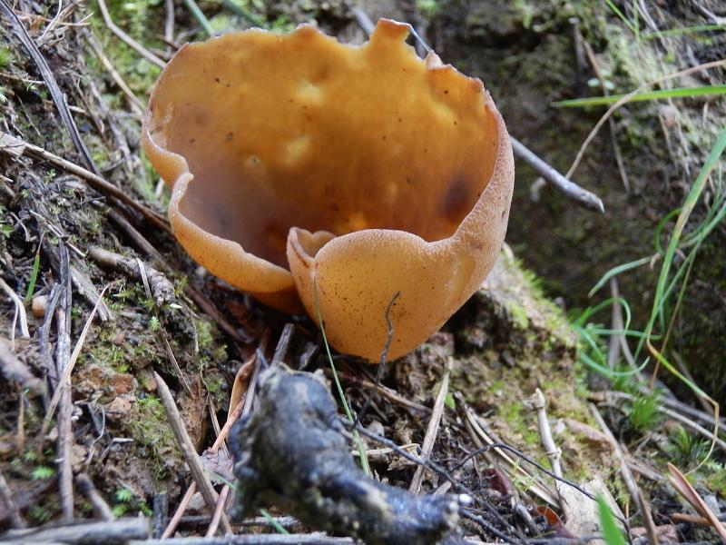 Bilder_25.07.12 050.jpg