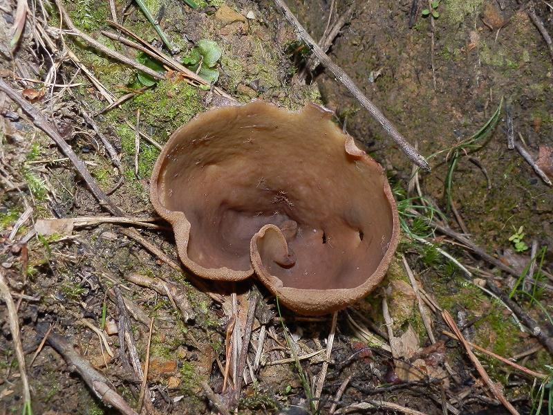 Bilder_25.07.12 055.jpg