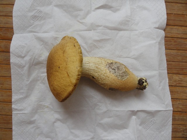 DSC04451 (640x480) (640x480).jpg