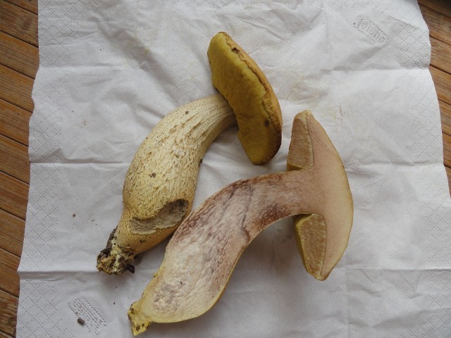 DSC04456 (640x480) (640x480).jpg