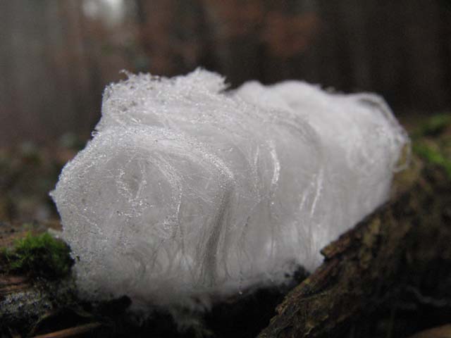 2008122502.jpg