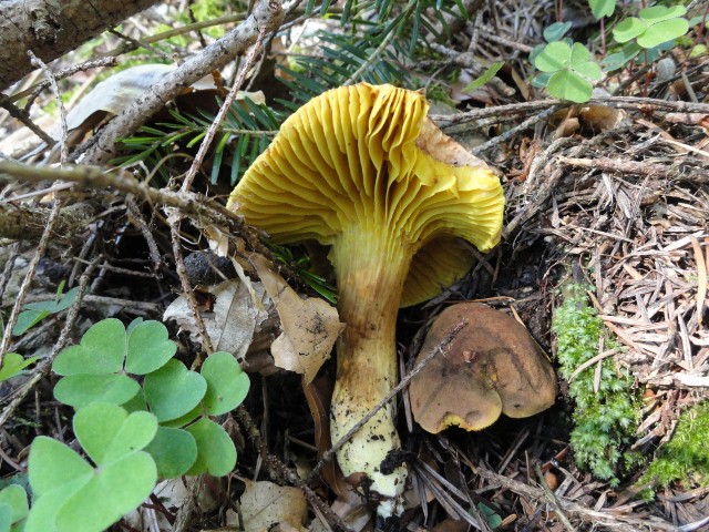 DSC04468 (640x480).jpg