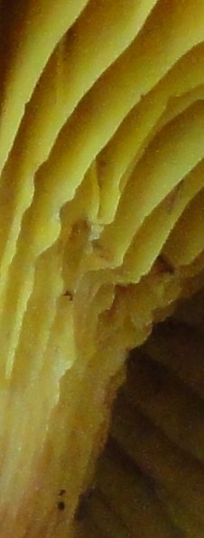 DSC04468.JPG