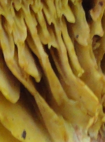 DSC04467.JPG