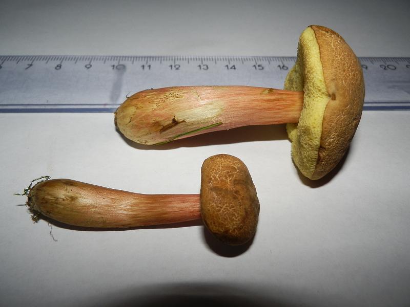 Bilder_25.07.12 002.jpg