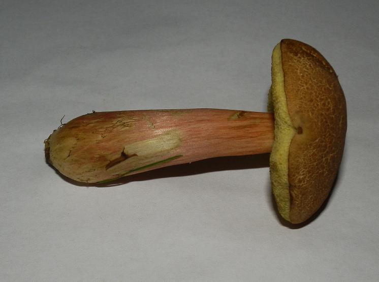 Bilder_25.07.12 003.jpg