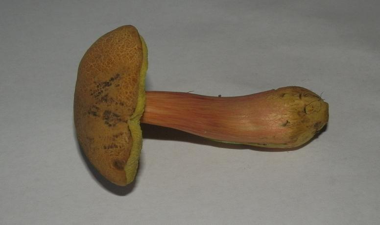 Bilder_25.07.12 009.jpg