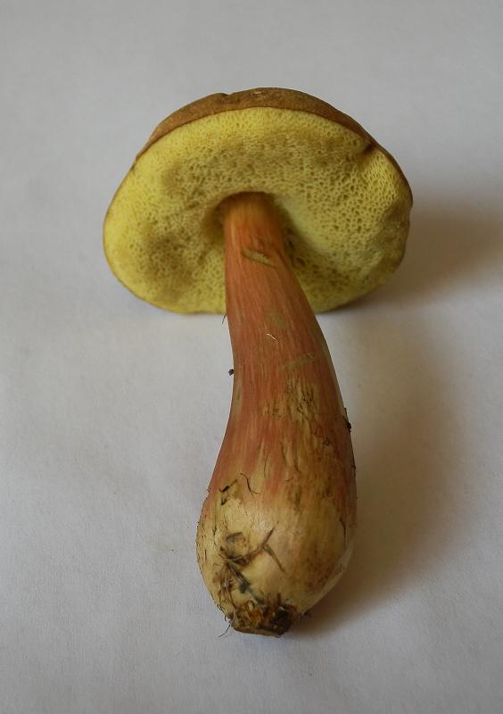 Bilder_25.07.12 019.jpg