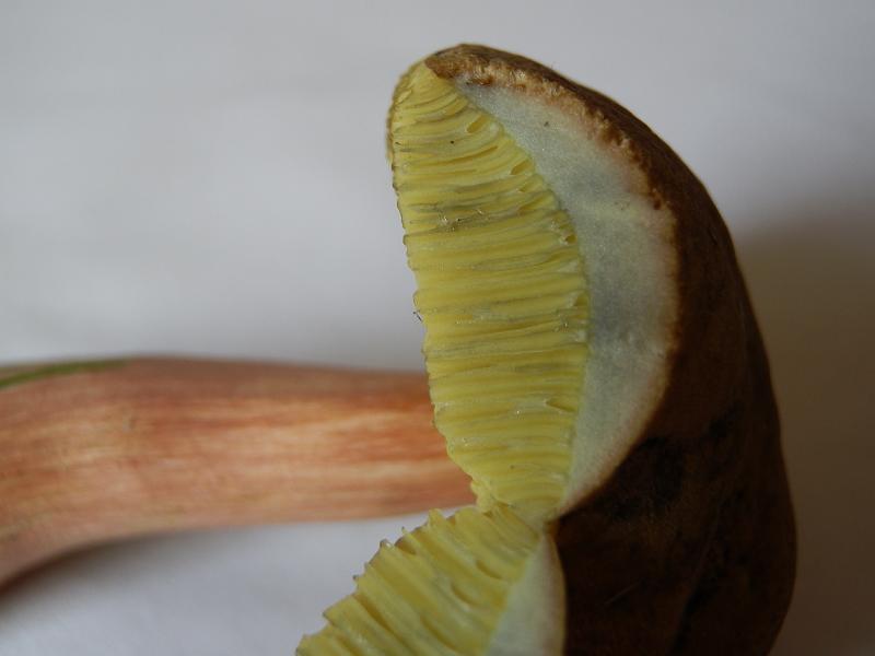 Bilder_25.07.12 023.jpg