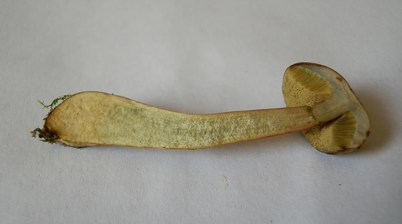 Bilder_25.07.12 027.jpg