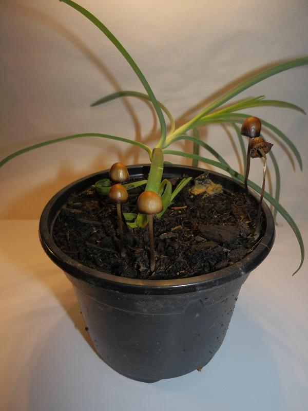 Bilder_05.09.12 005.jpg