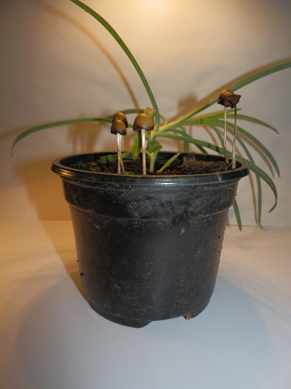 Bilder_05.09.12 003.jpg