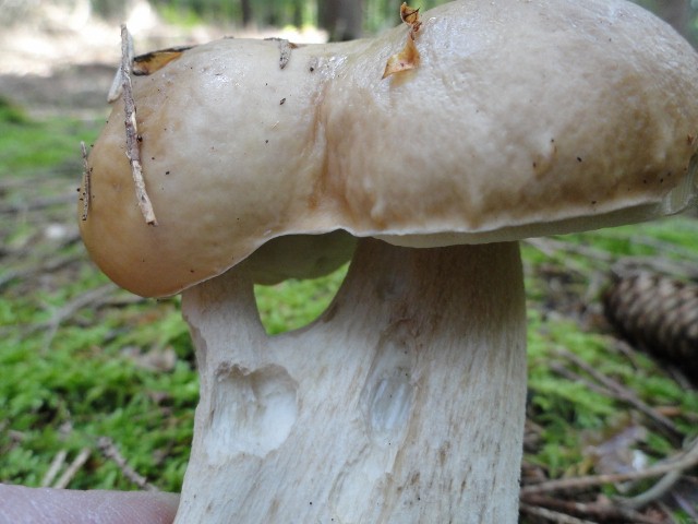 DSC04601 (640x480).jpg