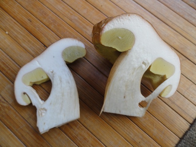 DSC04626 (640x480).jpg