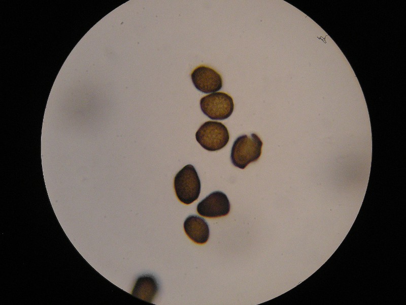 1000er Stubai (17).JPG