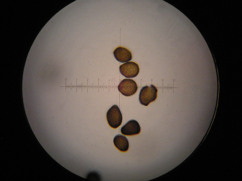 1000er Stubai (19).JPG