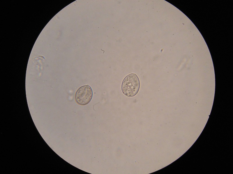 1000er Eckern (4).JPG