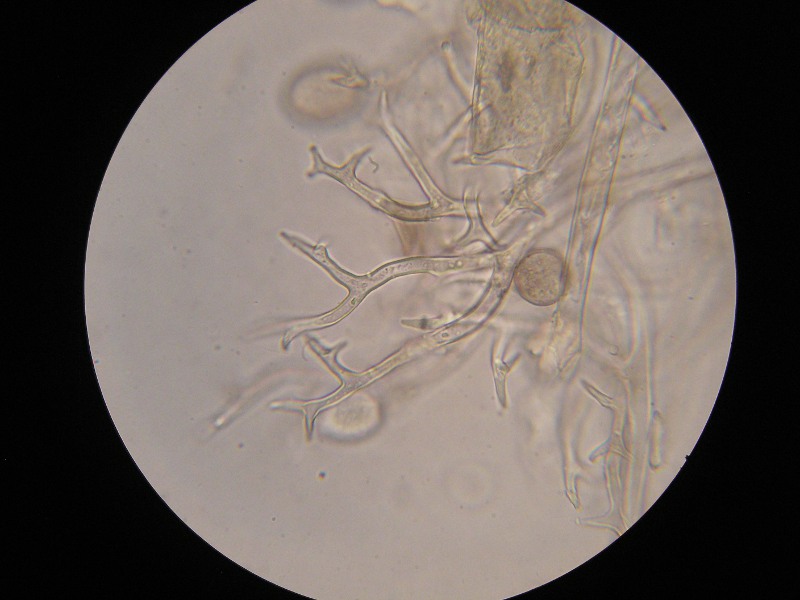 1000er Eckern (23).JPG