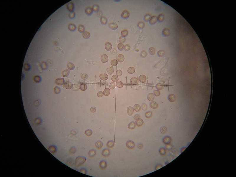 1000er Hochze (6).JPG