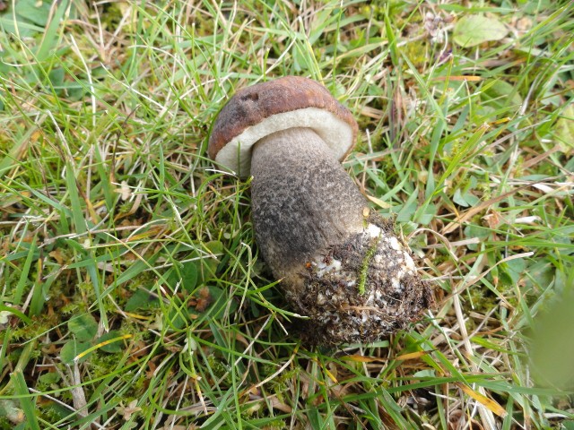 DSC04681 (640x480).jpg