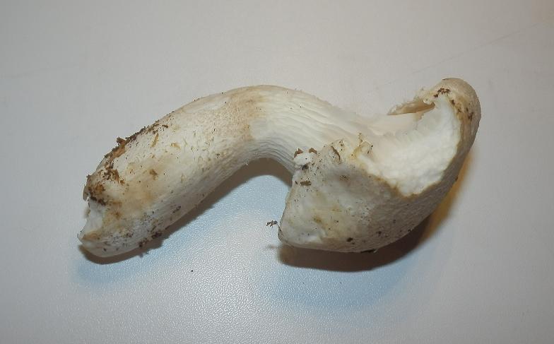 Bilder_12.10.12 010.jpg