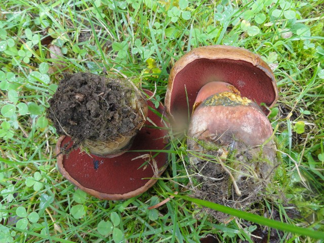 DSC04820 (640x480).jpg