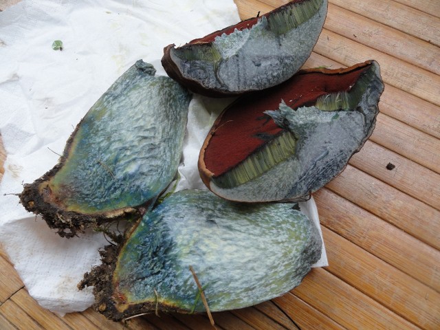 DSC04823 (640x480).jpg