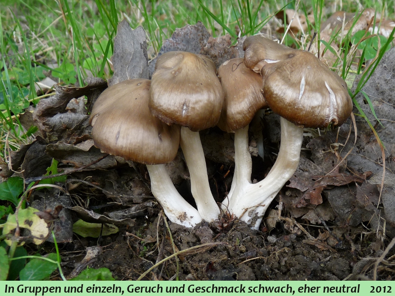 P1060788 Serie 5 E Bronzeskulptur Gruppe seitlich .JPG