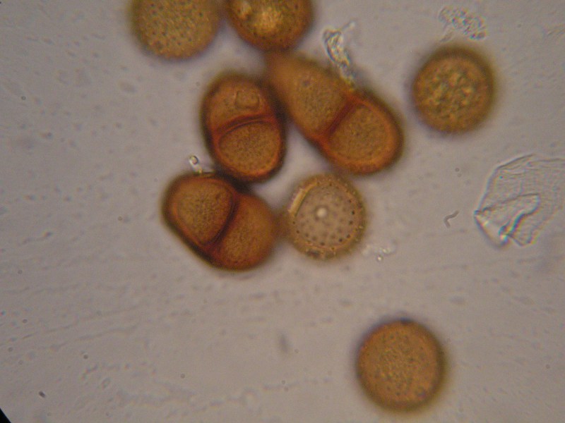 1000er Graup (10).JPG