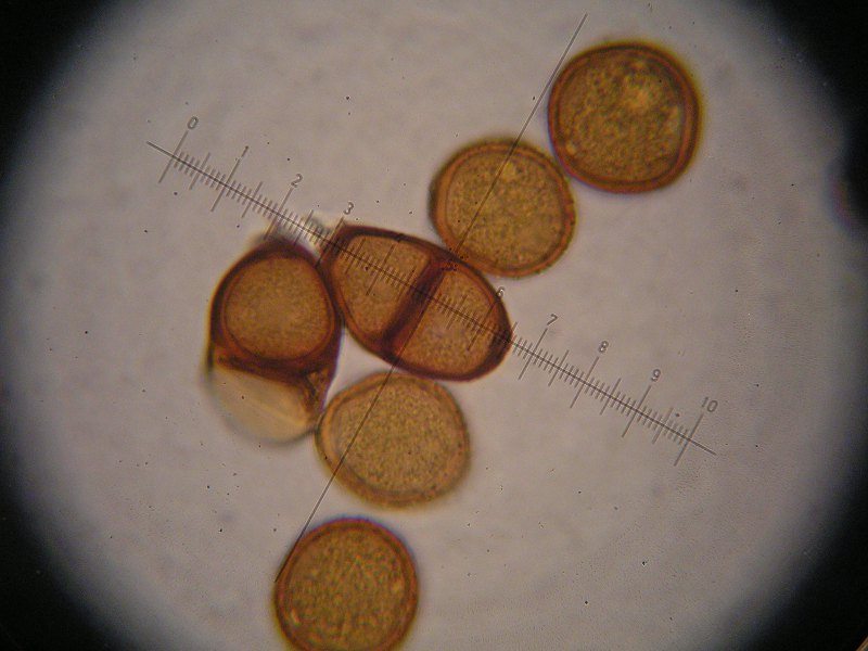 1000er Graup (25).JPG