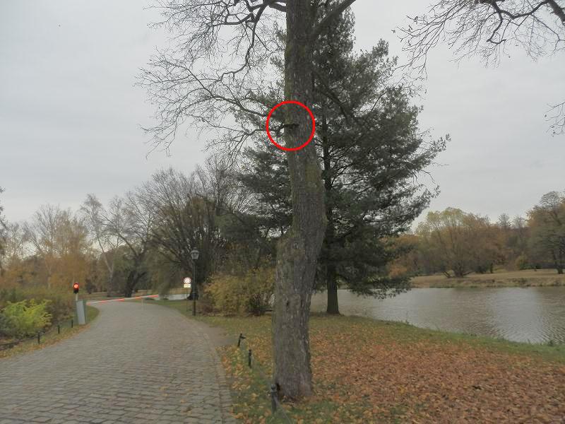 Bilder_03.11.12 006.6r.jpg