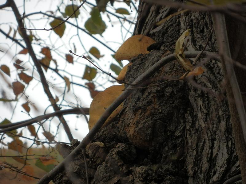 Bilder_03.11.12 012.jpg